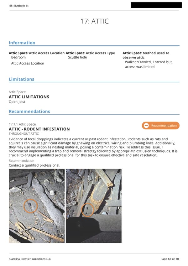 55 Elizabeth St - Full Home Inspection Report - Page 63